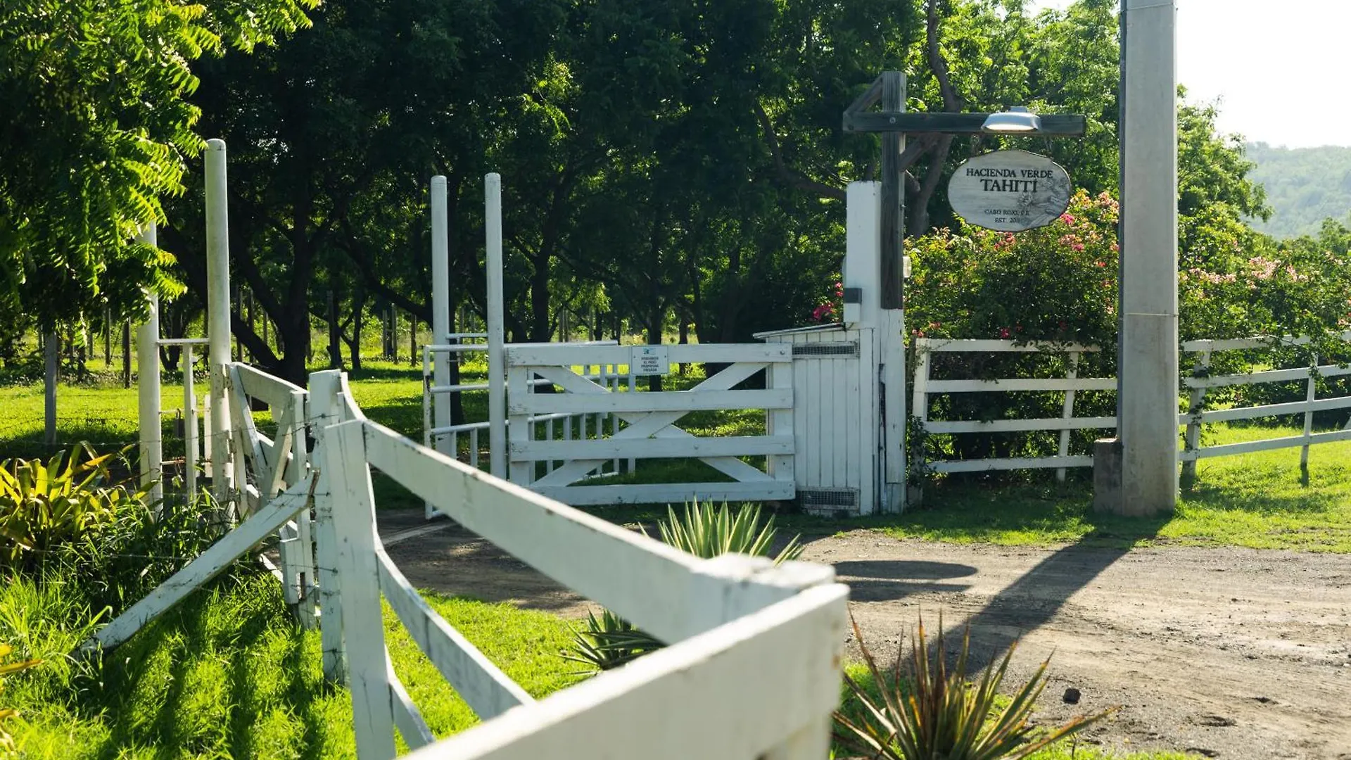 Green Cottage #1 Pitahaya Cabo Rojo Farm stay