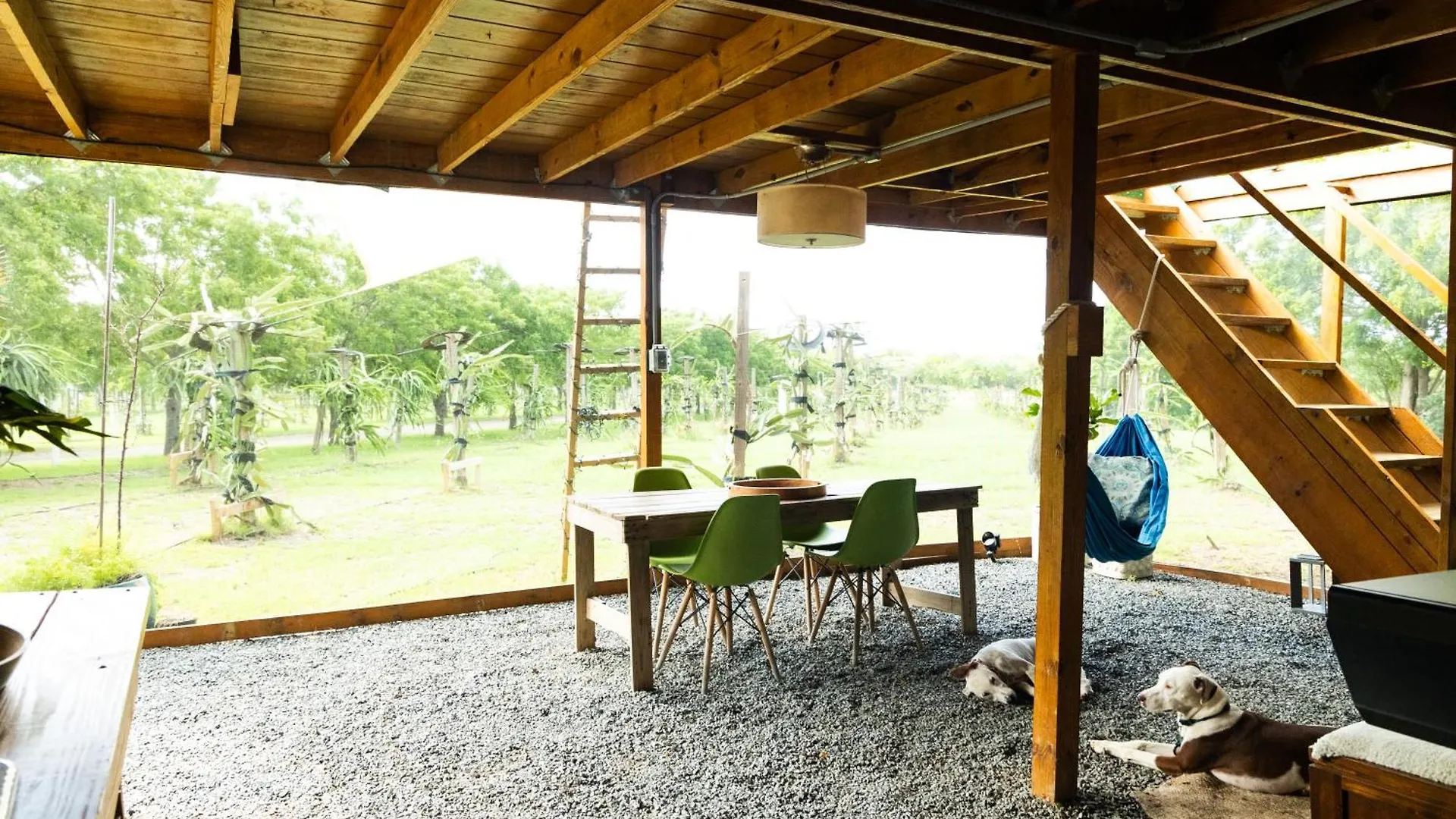 Green Cottage #1 Pitahaya Cabo Rojo Farm stay