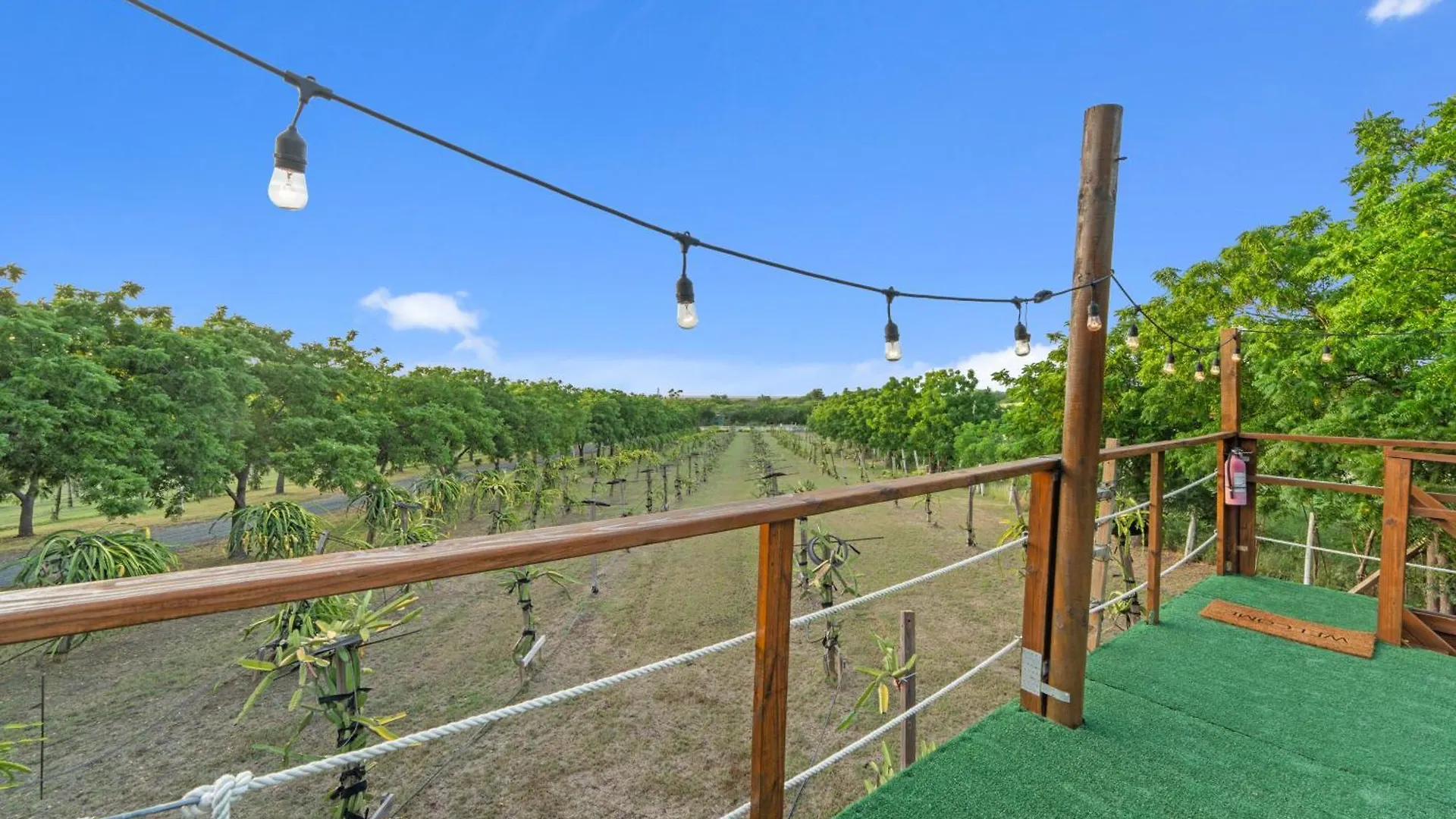 Farm stay Green Cottage #1 Pitahaya Cabo Rojo Puerto Rico